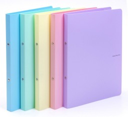 2kroužkový pořadač A4 20mm PASTELINi polypropylen fialový