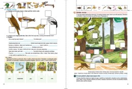 5.ročník Přírodověda Člověk a jeho svět Pracovní sešit