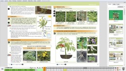 4.ročník Přírodověda Porozumění v souvislostech MIUč