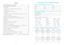5.ročník Český jazyk Pracovní sešit 1.díl
