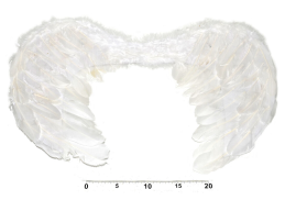 Andělská křídla 55x40cm