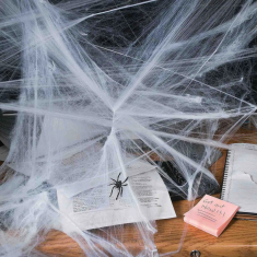 Pavoučí síť s pavouky