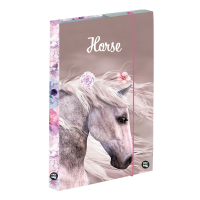 Box na sešity A4 Kůň romantic