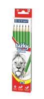 Grafitová tužka Centropen 9510 3F