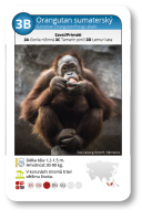 Kvarteto ZOO ohrožené druhy