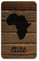 Kvarteto Afrika