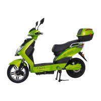 Elektroskútr RACCEWAY® E-FICHTL®, sv.zelený-metalický s baterií 12Ah