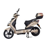 Elektroskútr RACCEWAY® E-FICHTL®, sv.zlatý-matný s baterií 12Ah