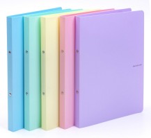 2kroužkový pořadač A4 20mm PP PASTELINi růžový