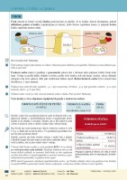 9.ročník Občanská výchova Výchova k občanství