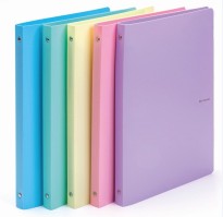 4kroužkový pořadač A4 20mm PP PASTELINi fialový