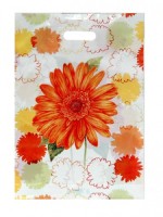 Taška PE s průhmatem Gerbera