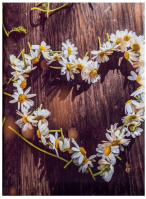 Fotoalbum Hearts Braider