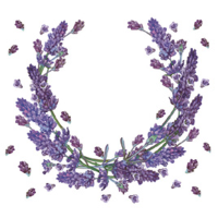 Papírové ubrousky Lavender 20ks