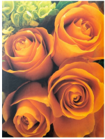 Samolepicí fotoalbum Flower