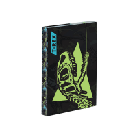 Box na sešity A5 T-Rex